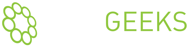 Two Geeks Technology Services